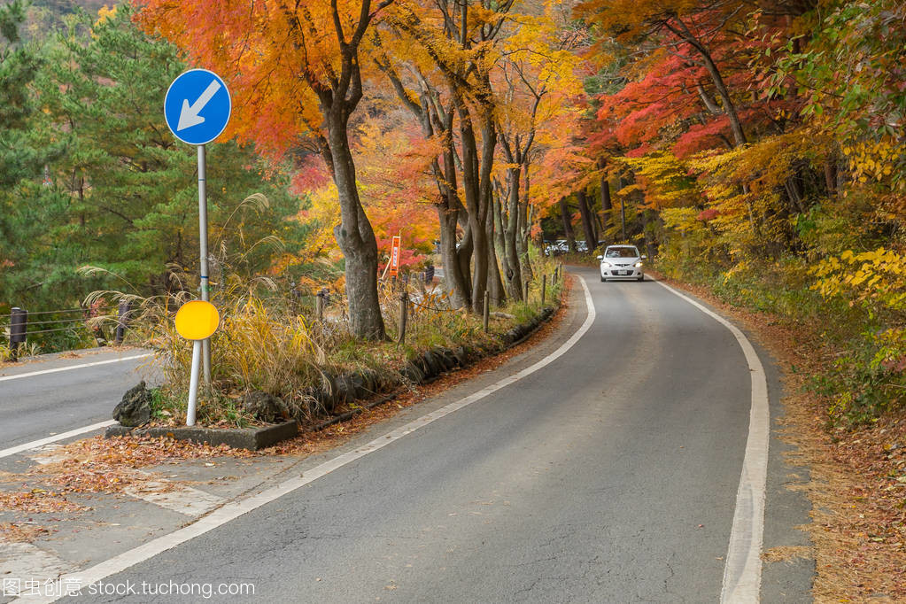 一條小路,黃色和綠色多彩紅楓